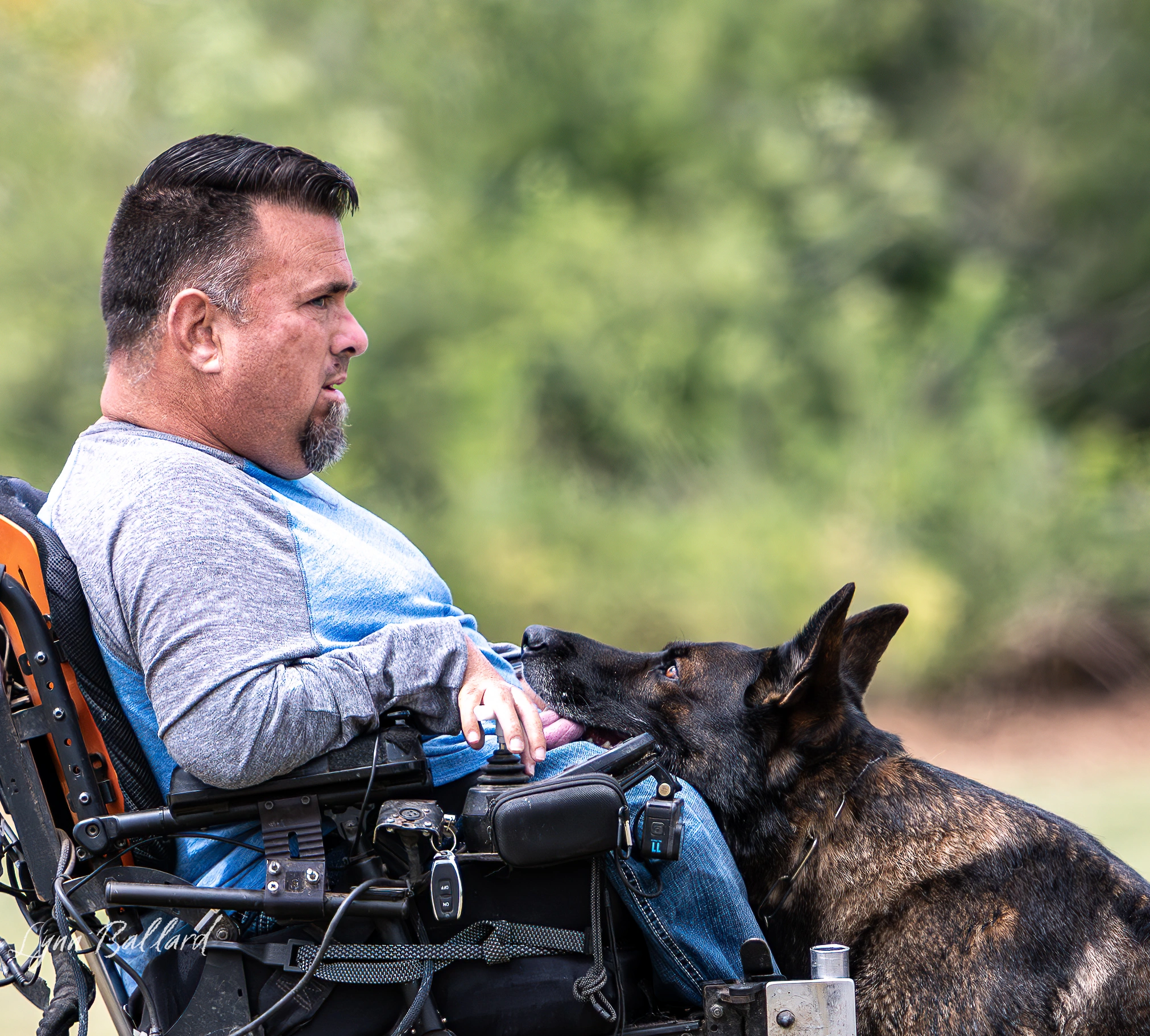 dog training consultation online 01