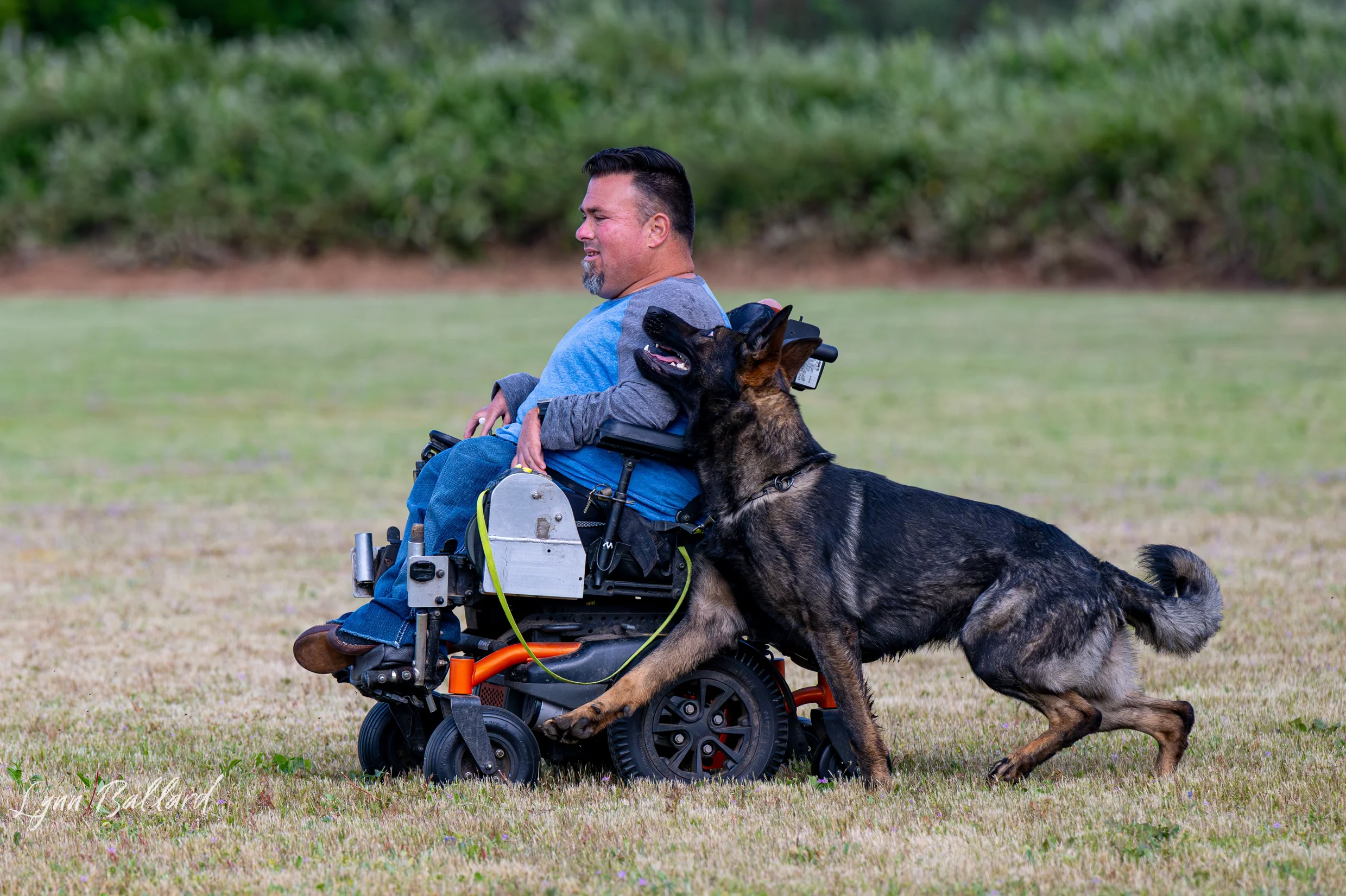 Jason Lake outdoors in his wheelchair with two working German Shepherds beside him