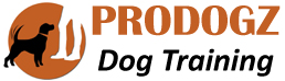 Online Dog Training, Virtual Dog Training, Professional Dog Training 