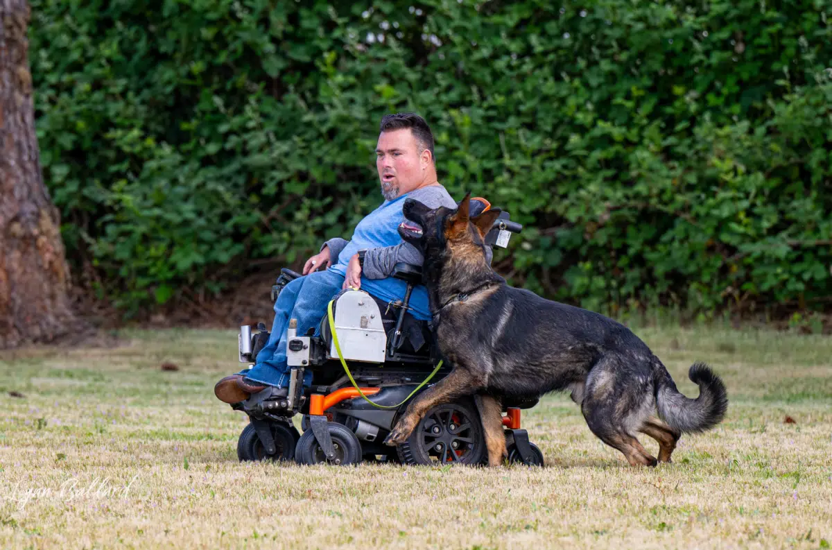 reactive dog training advice 06