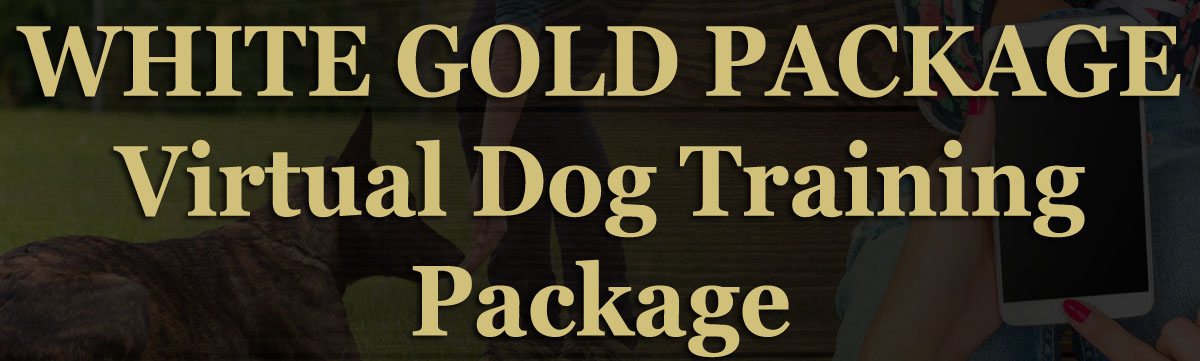 White Gold Dog Training Package