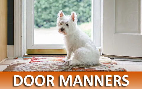 Virtual On-line Dog Training Helps With Door Manners